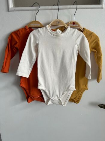 Lot 3 bodies