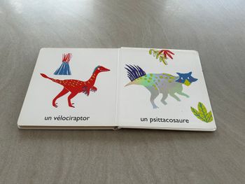 Mes premiers mots à toucher " les dinosaures"