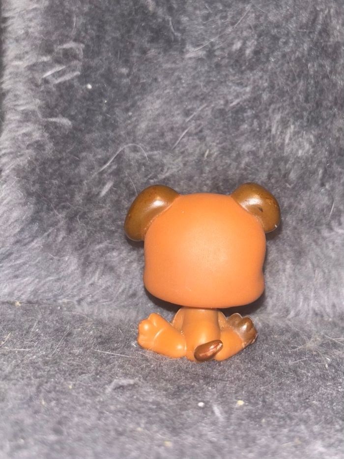 puppy #657 - photo numéro 2