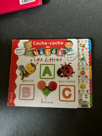 Livre lettres