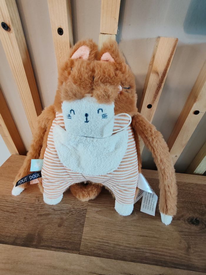 Chat tao avec sa poche et son bébé - photo numéro 2