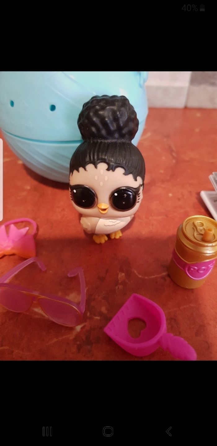 Pets animals Floxy Flyer - photo numéro 5