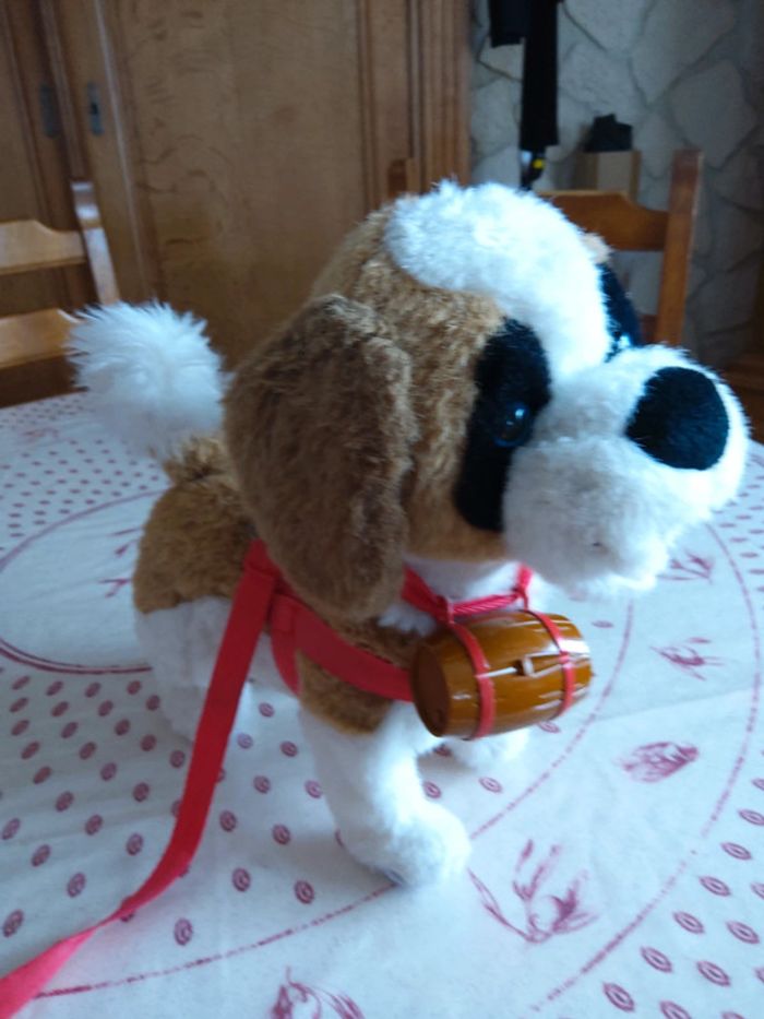 Chien de montagne - photo numéro 2