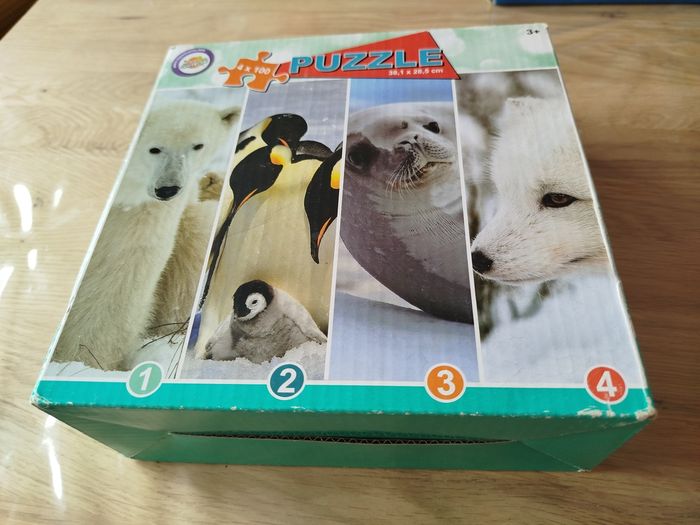 Puzzle arctique