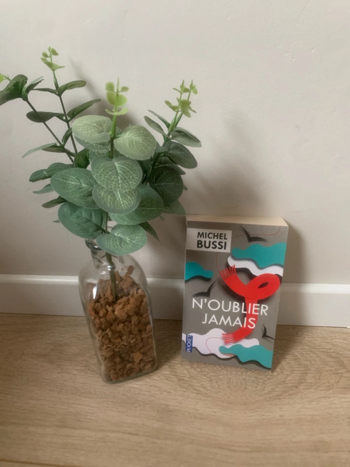 • Bussi ~ N’oublier jamais • - photo numéro 2