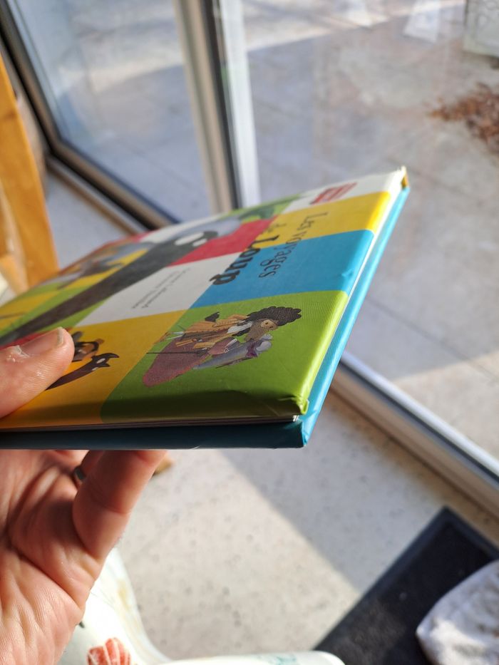 Les voyages de loup - photo numéro 6