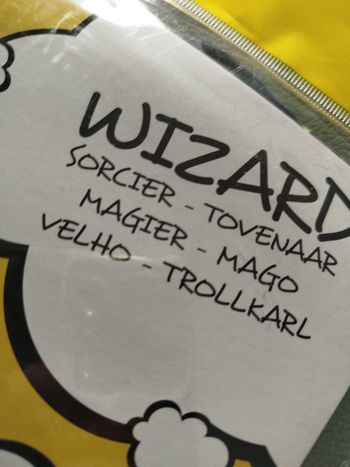 Déguisement de Sorcier