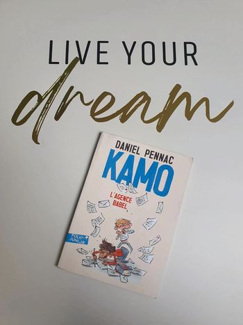 Livre kamo l'agence babel