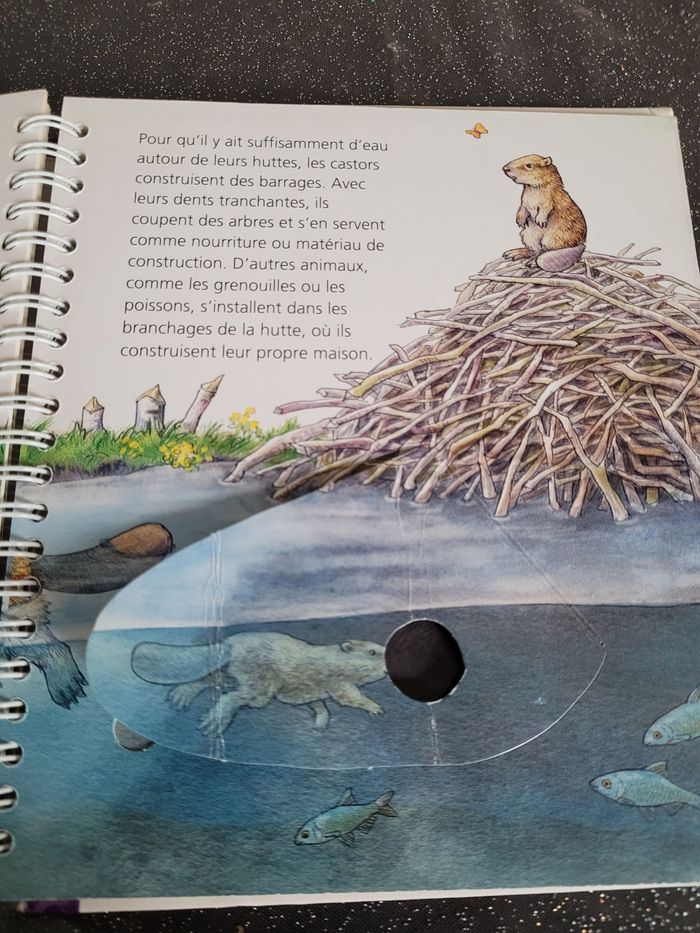 Livre La maison des animaux Les p'tits juniors - photo numéro 6