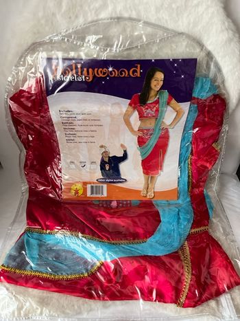 Déguisement Hindoue, Indien, Bollywood, Maharani rosé et turquoise taille L