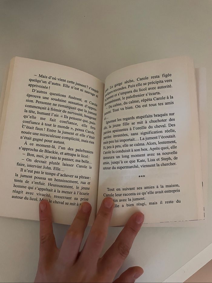Livre grand galop : un jument trop sauvage - photo numéro 3