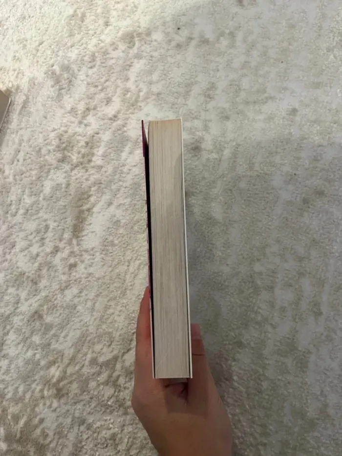 Livre jamais plus - photo numéro 3