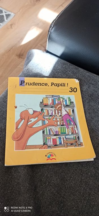 Livre prudence papili