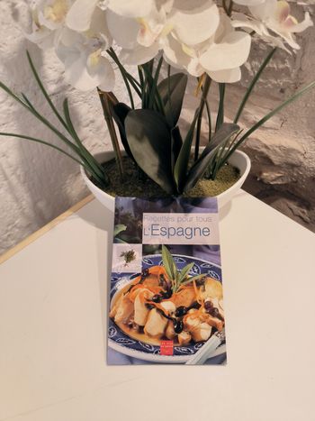 livre de cuisine Recettes pour tous l'espagne en tres bon etat