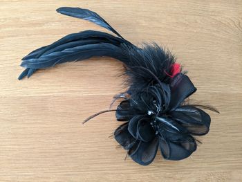 Pince plumes noires et rouges