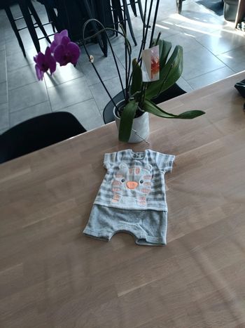 Pyjama short