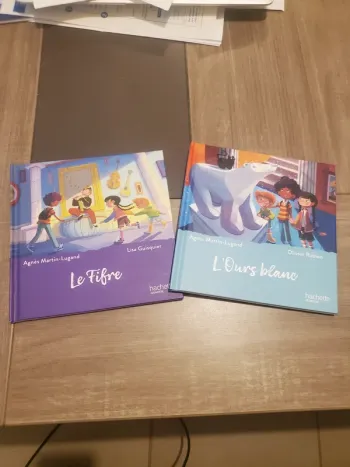 Lot de 2 livres "Le musée magique"
