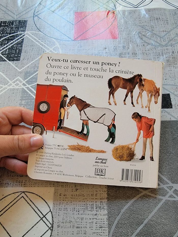 Touc à tout poneys - photo numéro 3