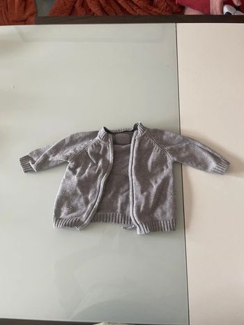 Gilet gris