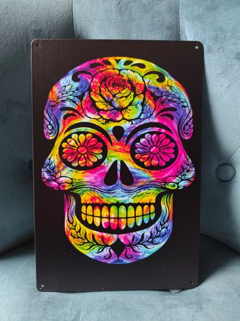 Plaque métal tête de mort squelette calaveras gothique neuve 20x30cm
