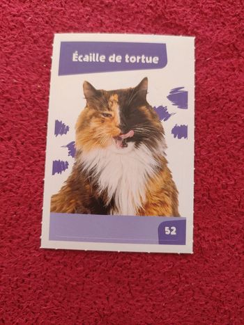 Carte nos amies les bêtes