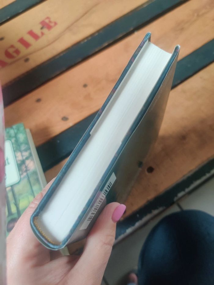 La Guinguette de Bernard Clavel - photo numéro 9