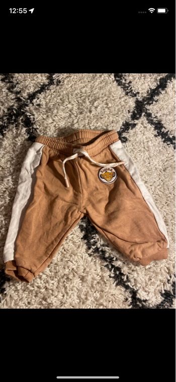 Jogging roi lion mix 