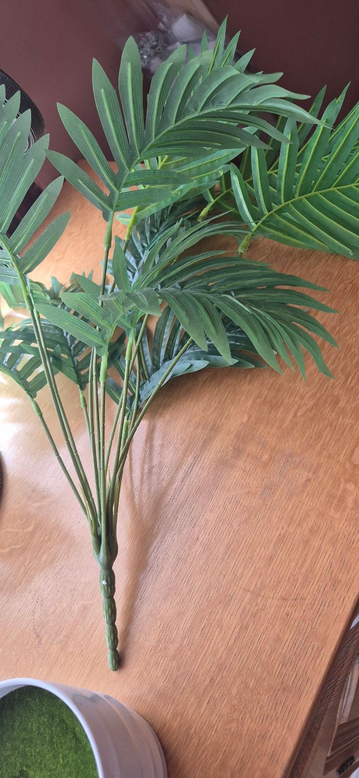 Lot de 2 plantes verte - photo numéro 4