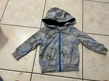 Gilet dinosaures