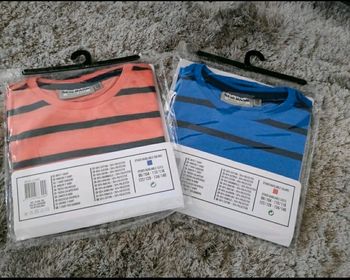 Lot de 2 tee shirt rayés