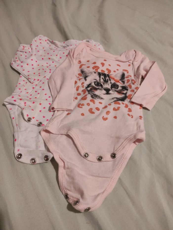 Bodies ML T3M Kitchoun