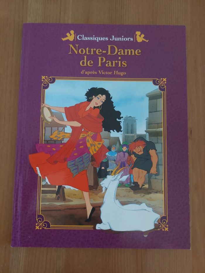 Livre Notre-Dame de Paris