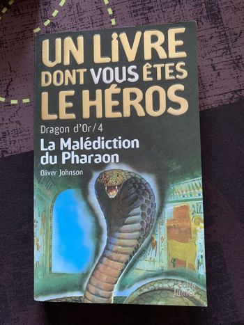 Un livre dont vous êtes le héros 