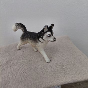 Schleich - Chien husky