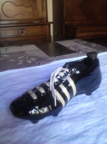 Bouteille garnier chaussure