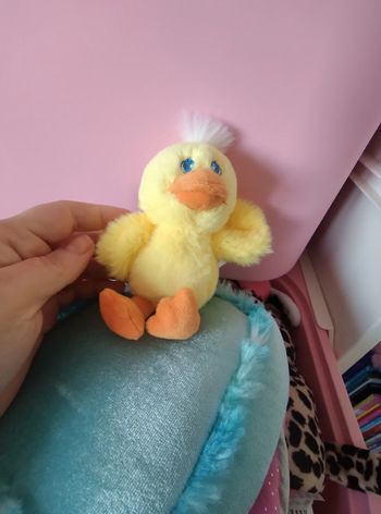 Peluche poussin