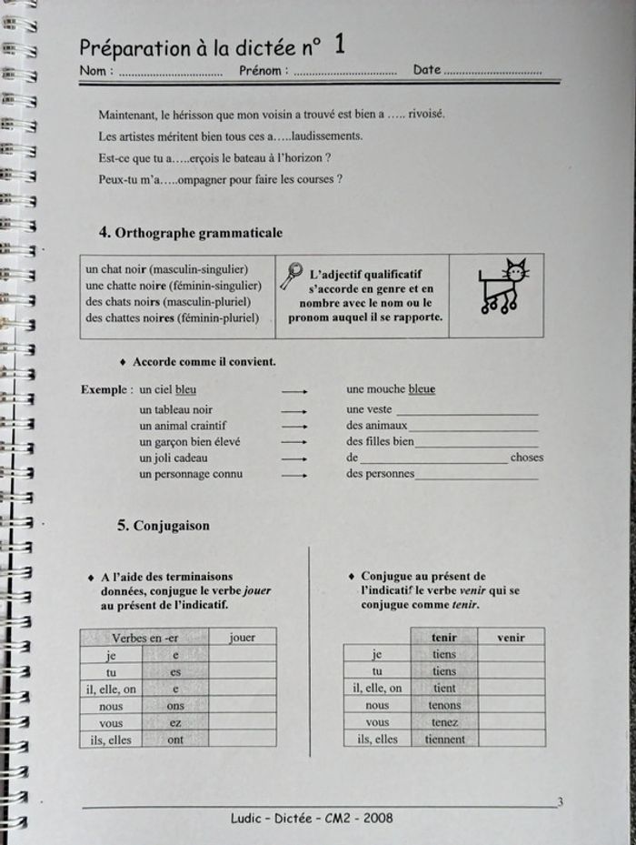 "Outils de la langue" Dictées CM2 - Ludic - photo numéro 4