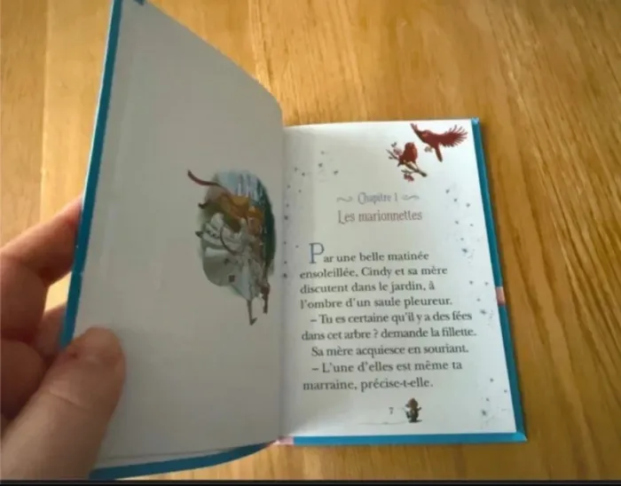 Livre Bibliothèque rose Souvenirs d'enfance Cendrillon - photo numéro 8