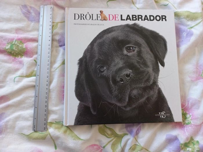 Livre drole de labrador