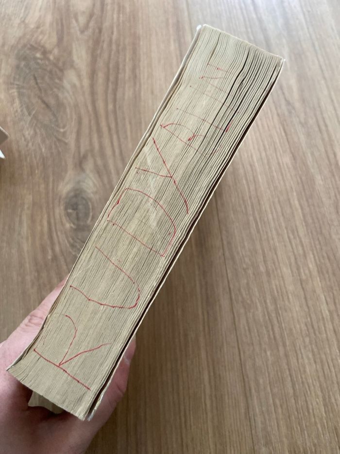 Alexandra Lapierre Fanny Stevenson entre passion et liberté - photo numéro 3