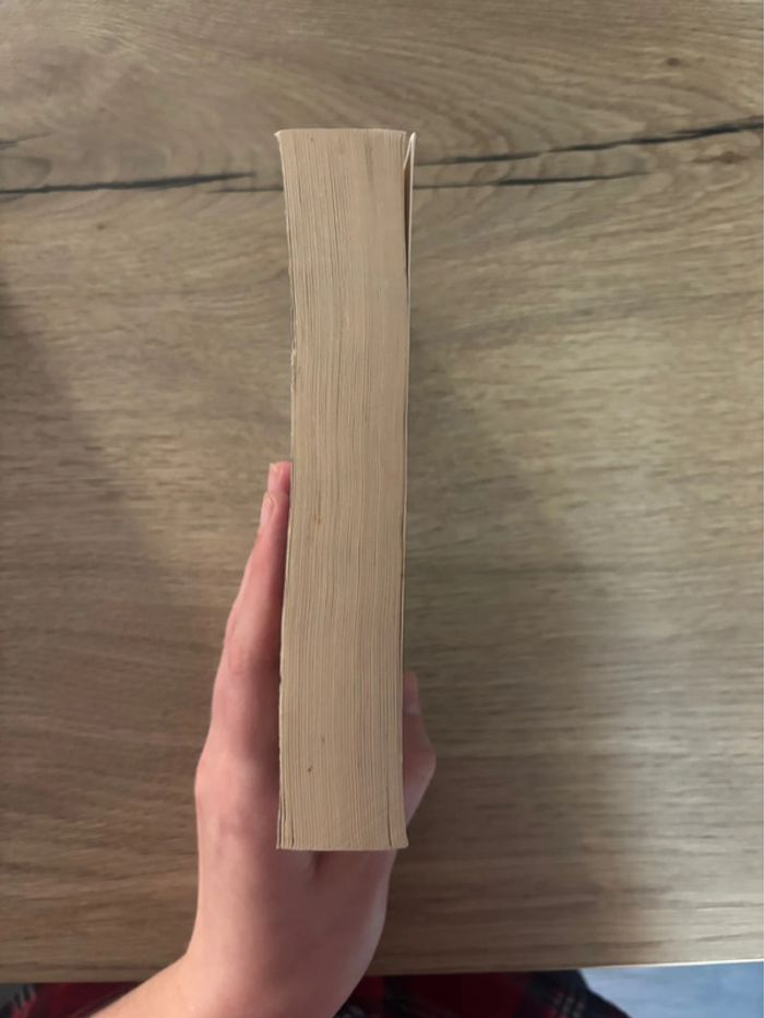 Livre Le seigneur des Anneaux - photo numéro 4