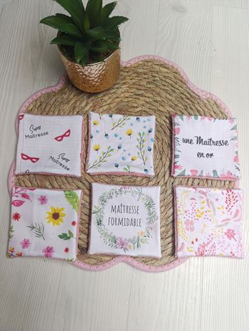 Lingettes lavables maîtresse