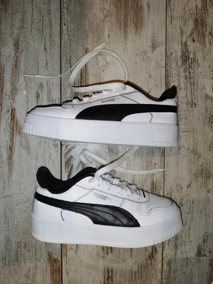 Basket puma