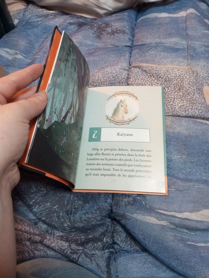 Le maître des licornes - photo numéro 3