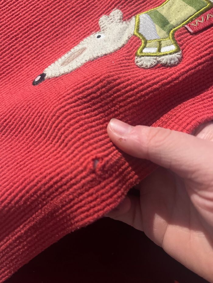 Pull ou t-shirt - photo numéro 2