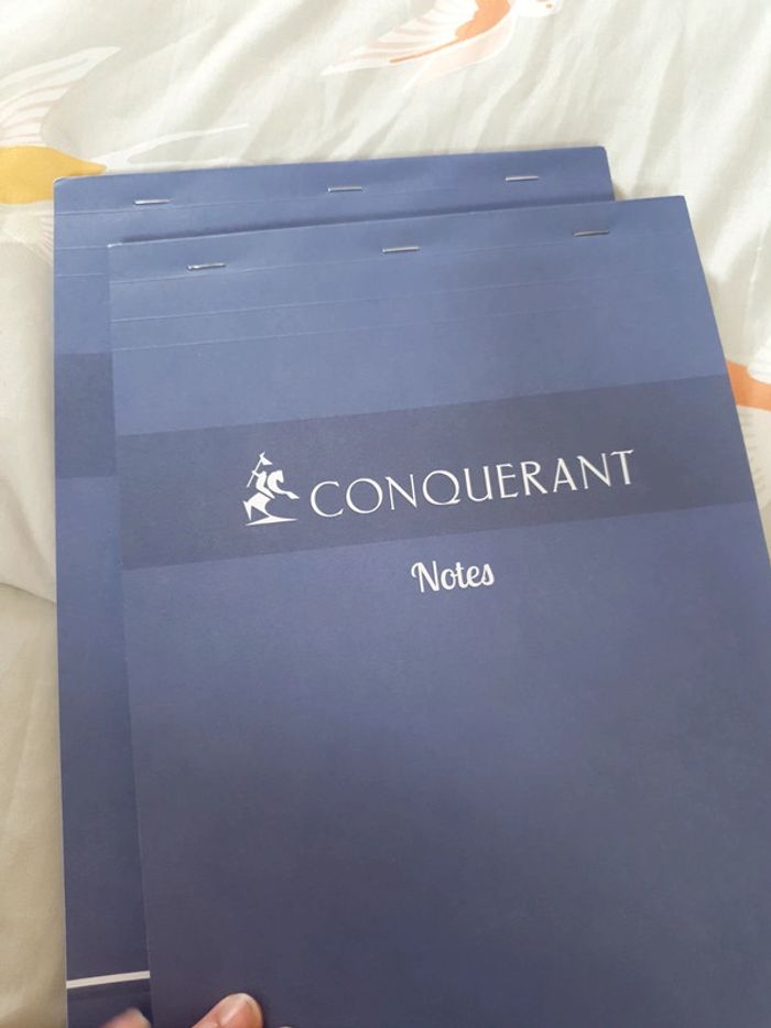 Lot de 2 bloc notes A4 conquérant - photo numéro 4