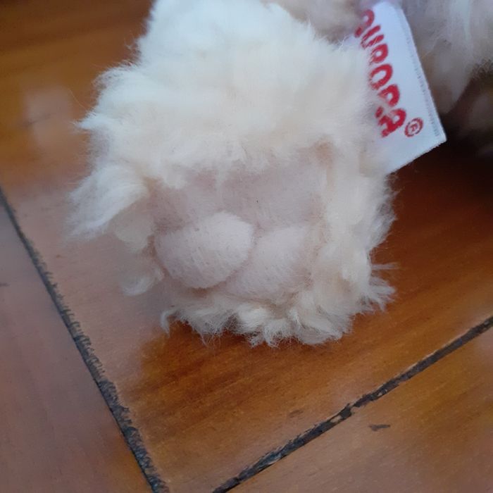Peluche Chiot" Cocker Spaniel nain" *neuf - photo numéro 4