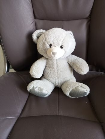 Joli nounours 