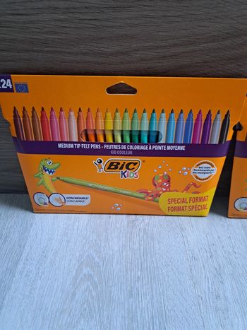 Feutre BIC
