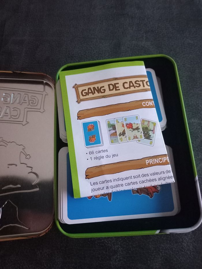 Gang de castors gigamic - photo numéro 3